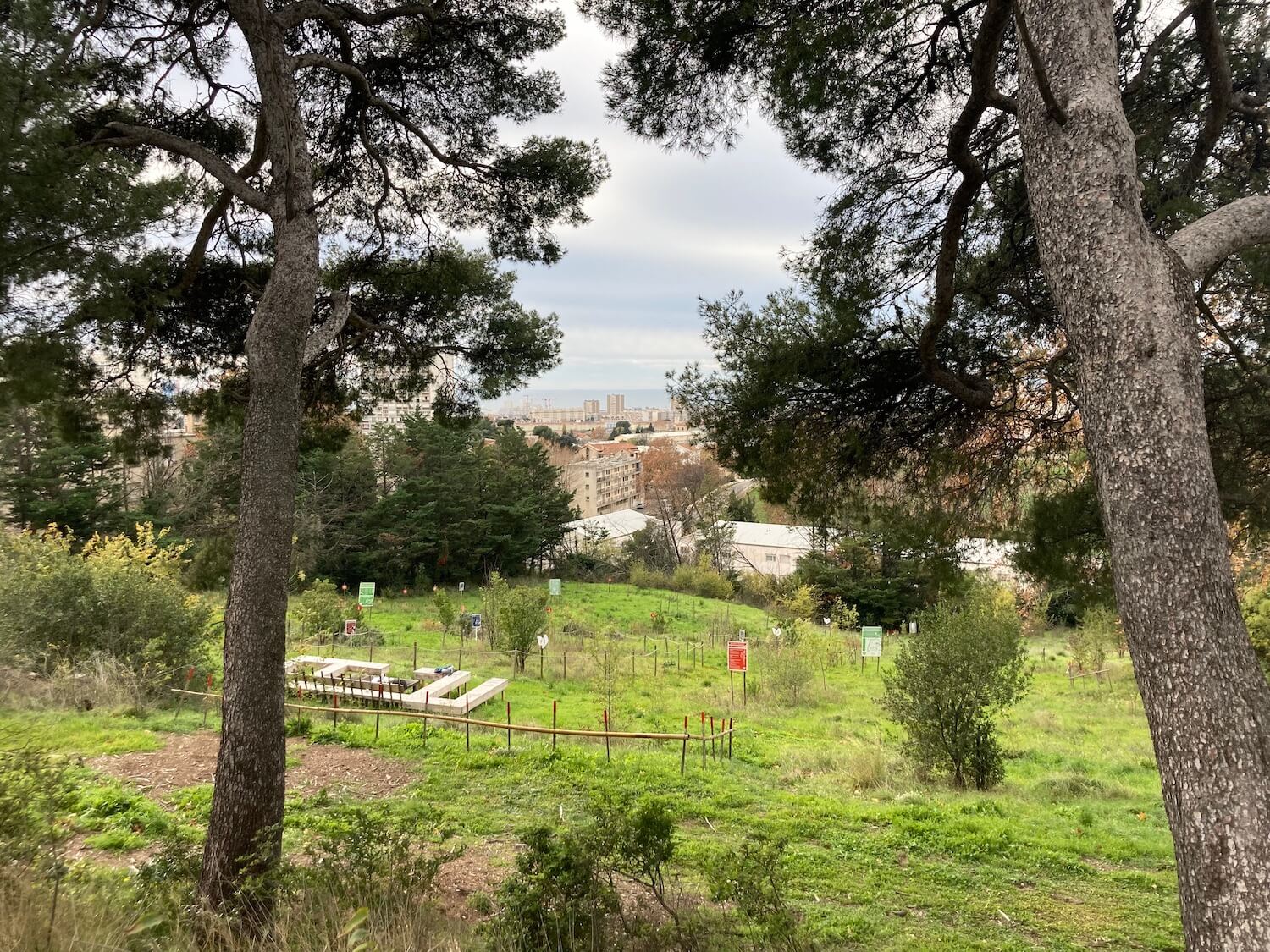 PUP_credit_Louise_Seguinel (1)