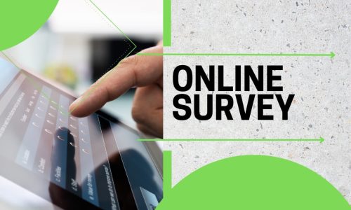 online survey (website) online survey (website)
